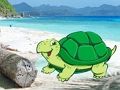 Permainan Sepasang Ketam Pantai Melarikan Diri  talian