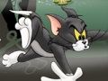 Permainan Tom dan Jerry Chase di Marsh  talian