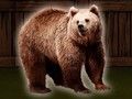 Permainan Selamatkan Beruang Grizzly  talian