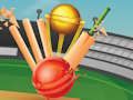 Permainan Kriket T20  talian