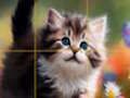 Permainan Teka-teki Anak Kucing Gelongsor  talian