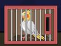 Permainan Lepaskan Burung Cockatiel  talian