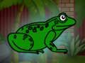 Permainan Selamatkan katak hijau dari penjara bawah tanah  talian