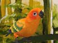 Permainan Teka-teki Budgie yang comel  talian