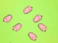 Permainan Selamatkan Piggies  talian