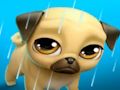 Permainan Haiwan Peliharaan Maya Saya Louie the Pug  talian
