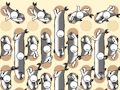 Permainan Pengumpulan ikan  talian