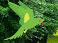 Permainan Parrot Cari Sarang  talian