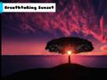 Permainan Matahari terbenam yang menakjubkan  talian
