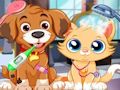Permainan Penjagaan Haiwan Kesayangan Anak Anjing  talian