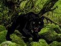 Permainan Melarikan diri dari Hutan Black Panther  talian