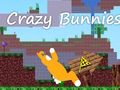 Permainan Bunnies Gila  talian