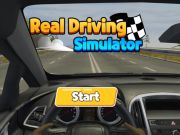 Permainan Simulator memandu sebenar  talian