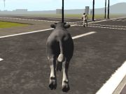 Permainan Crazy Bull City  talian