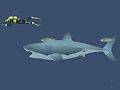 Permainan Mad Shark talian
