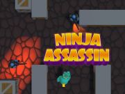 Permainan Ninja Assassin talian