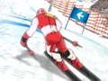 Permainan Winter Sports: Slalom Hero talian
