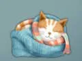 Permainan Adorable Escape Find Cute Kitten talian