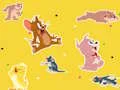 Permainan The Tom and Jerry Show Find it! talian