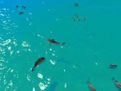 Permainan Hungry Shark Hunt talian