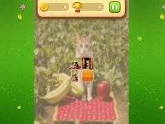 Permainan Farm Cat Memory Match talian