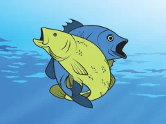 Permainan Friendly Fish Coloring talian