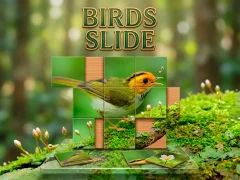 Permainan Birds Slide talian