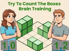 Permainan Try To Count The Boxes Brain Training talian