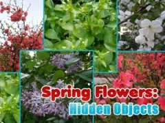 Permainan Spring Flowers: Hidden Objects talian
