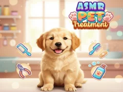 Permainan Asmr Pet Treatment talian