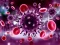 Permainan Coronavirus Puzzle talian