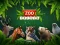 Permainan ZOO Trivia talian