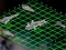 Permainan Intergalactic Battleships talian