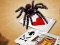 Permainan Jumping Spider talian