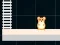 Permainan Hamster Grid Even Odd talian