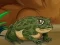 Permainan Frogs Matching talian