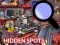 Permainan Hidden Spots In The Room talian