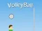 Permainan VolleyBall talian