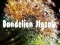 Permainan Dandelion Jigsaw talian