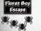 Permainan Floret Boy Escape talian