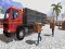 Permainan Asian offroad cargo truck driver talian