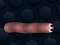 Permainan Math Slither talian