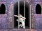 Permainan Victory Rabbit Escape talian