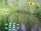 Permainan Sunlight Forest Adventure talian