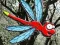 Permainan Escape From Dragonfly Forest talian