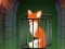 Permainan Fox in the Forgotten Ruins talian