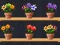 Permainan Good Flower Master talian