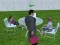 Permainan Millionaire Simulator 2024 talian