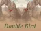 Permainan Double Bird talian