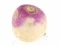 Permainan Turnip talian